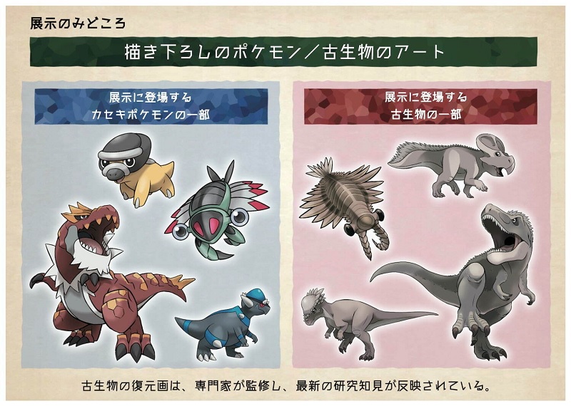 Pokémon : leurs fossiles envahissent les musées japonais !
