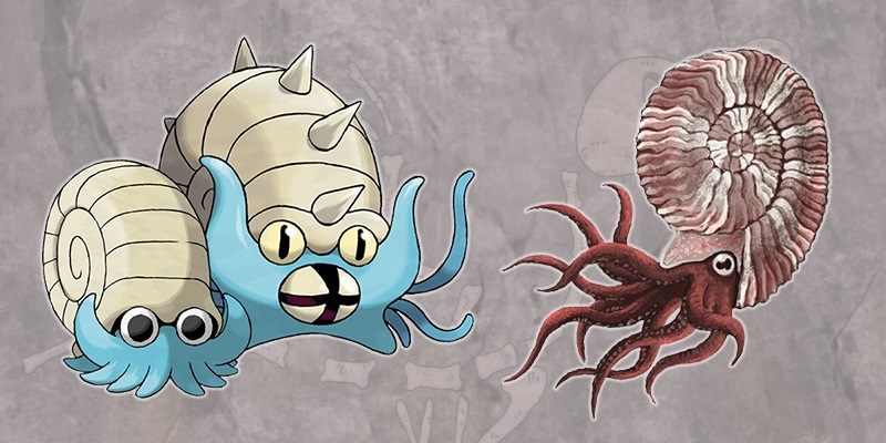 Fossiles Pokémon : Amonita