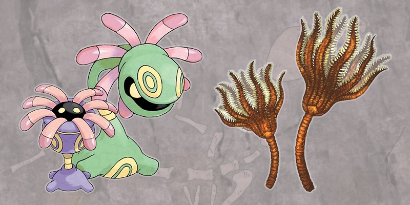 Fossiles et dino Pokémon  : Lilia