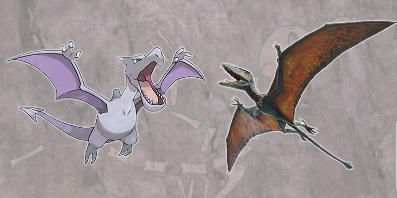 Pokémon fossile : Ptéra