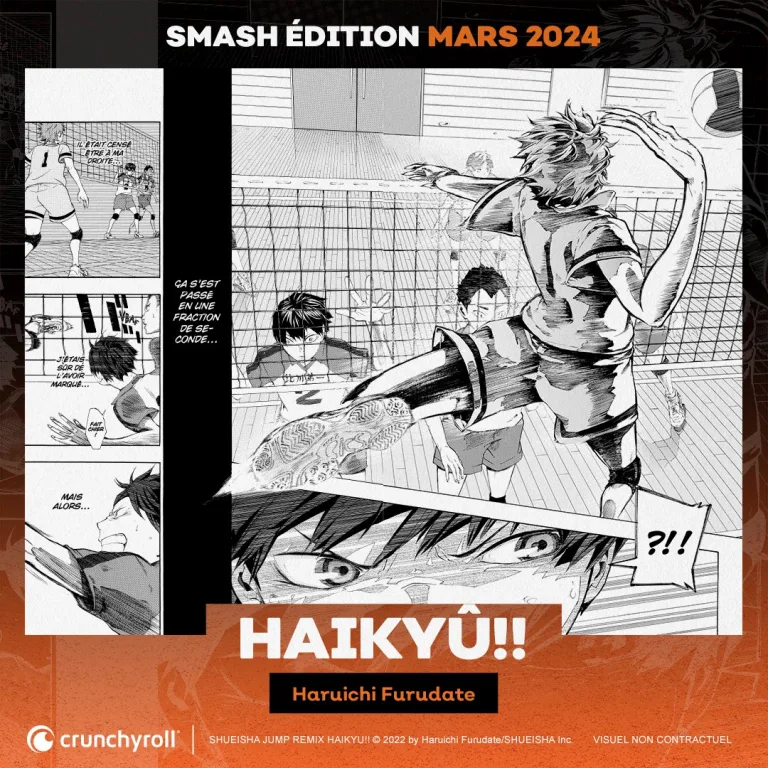 Haikyû : Smash édition