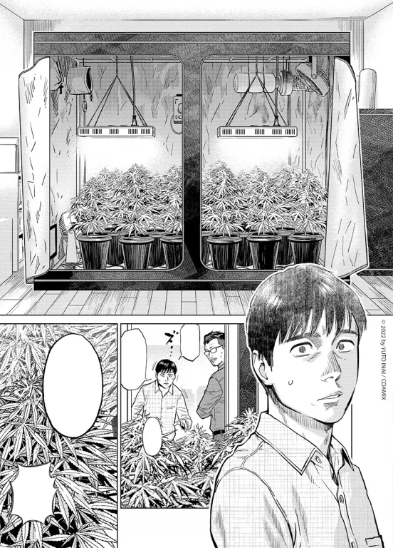 manga : Tokyo Cannabis