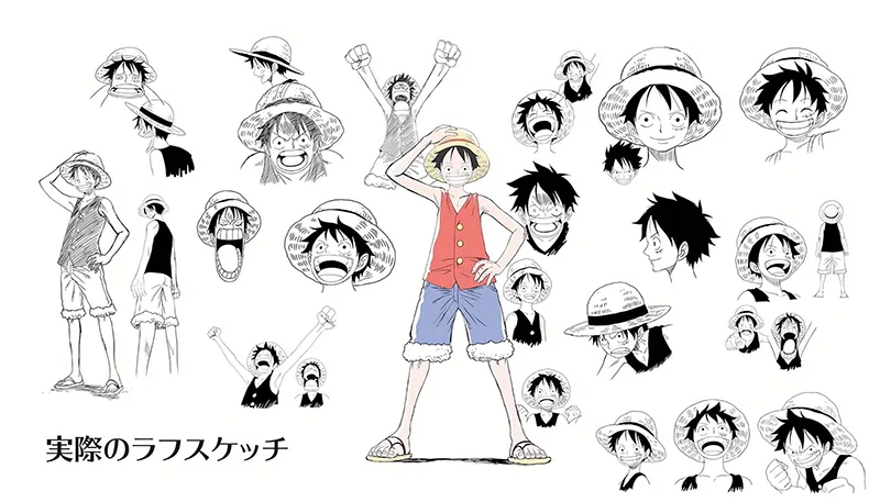 The One Piece : Luffy