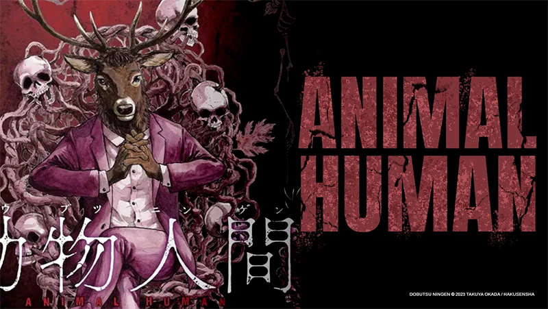 manga : Animal Human