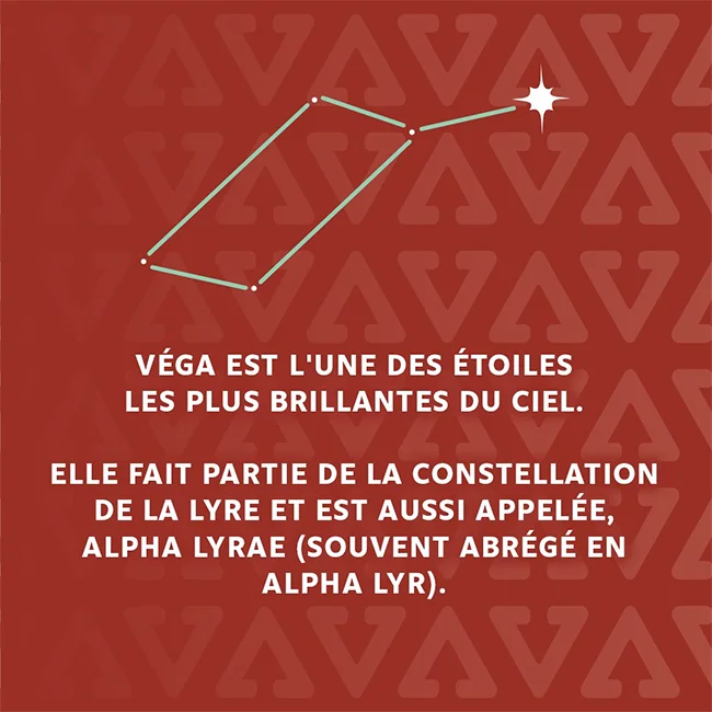 Vega-Dupuis devient VEGA