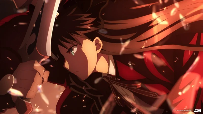 Fate/stay night : Heaven's Feel sur ADN